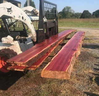 Heart Wood Tree Salvage