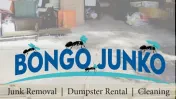 Bongo Junko - Junk Removal Spring