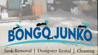 Bongo Junko - Junk Removal Spring