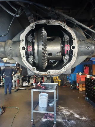 Rivera's Transmission