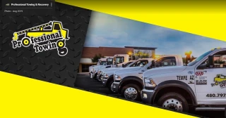 Professional Towing & Recovery
