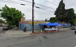 All Japanese Auto Parts