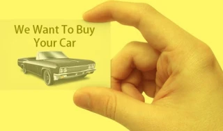 Milano's Cash for Cars