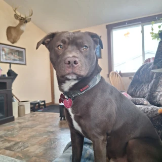 Rick's Towing & Recovery