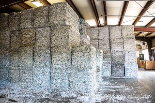 Friedland Industries Inc