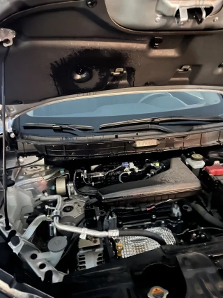 Arlington Performance Center