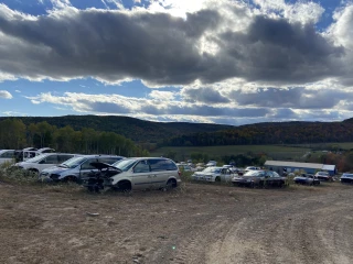 Woodhull Auto Supply LLC