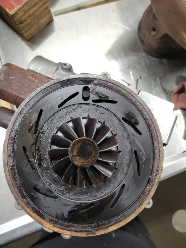 Mitchell Auto Care - photo 3