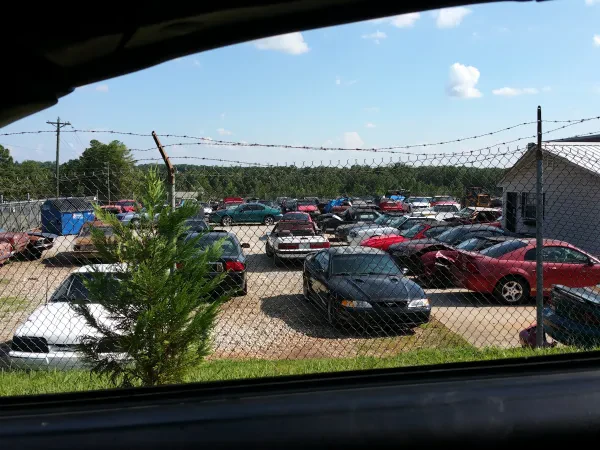 Prestige Mustang - photo 3