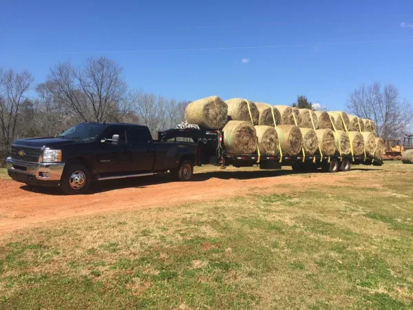 TST LOGISTICS LLC - photo 2