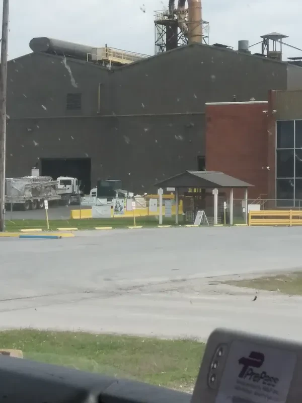 ALABAMA RECLAMATION - photo 3