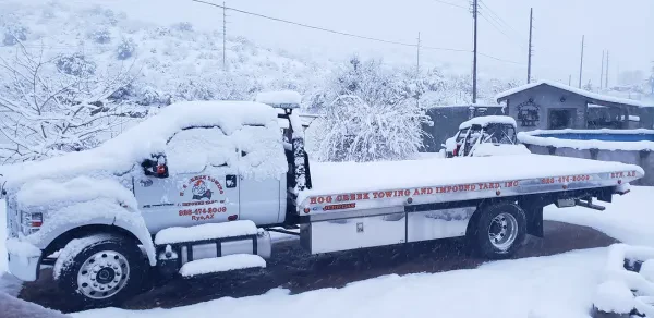 Hog Creek Towing & Impound Yard - photo 3