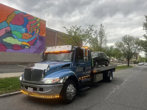 Alex towing - photo 4