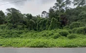 North GA Roadside, LLC