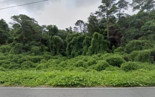 North GA Roadside, LLC