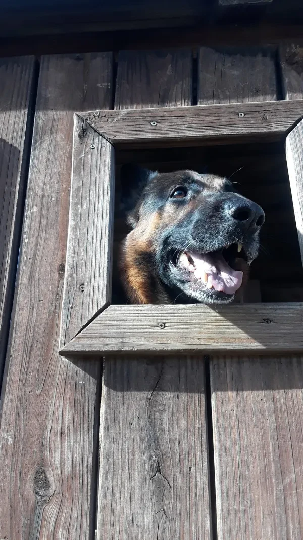Southside Used Parts - photo 2