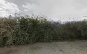 Martin Brothers Scrap Metal