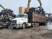 Extine Recycling