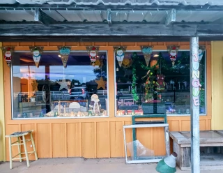 Junkin Jo's