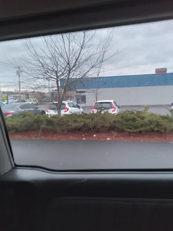 NAPA Auto Parts - photo 2