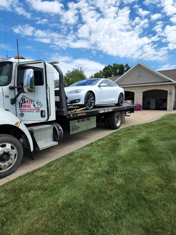 Bully Dawgs Towing - photo 2