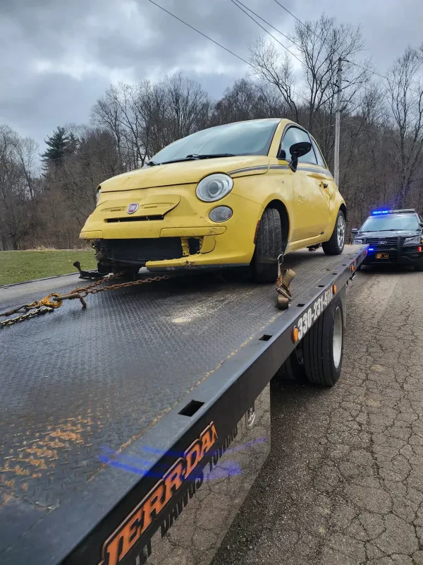 Bully Dawgs Towing - photo 4