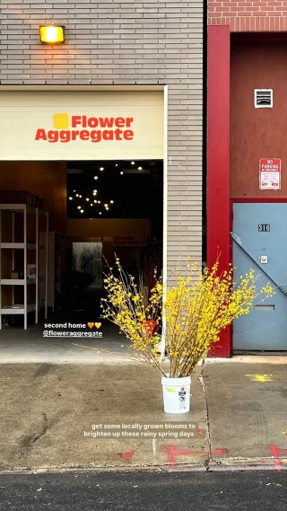 Flower Aggregate