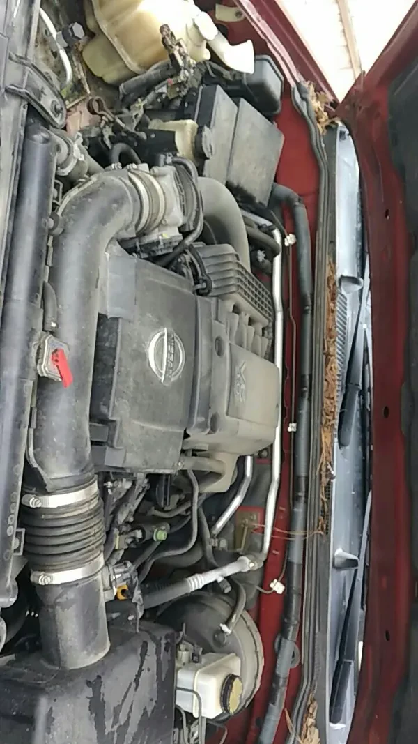 South End Auto Salvage - photo 4