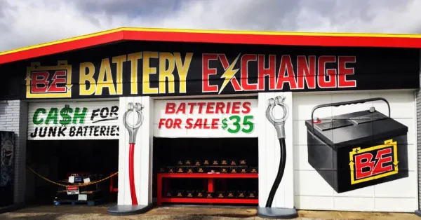 The Battery Exchange - photo 2