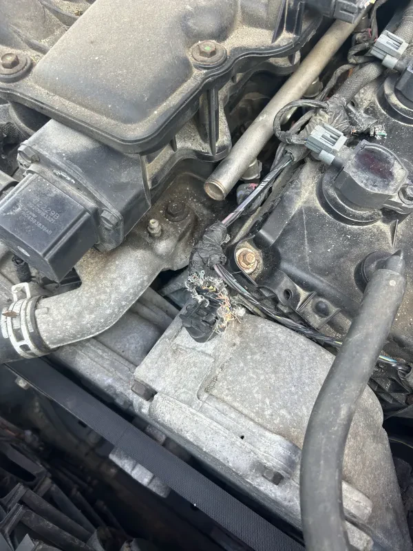Hawpatch Motors LLC - photo 2