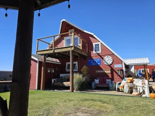 Jack Creek Salvage