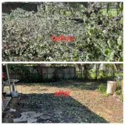 Nada Junk Removal And Haul Away
