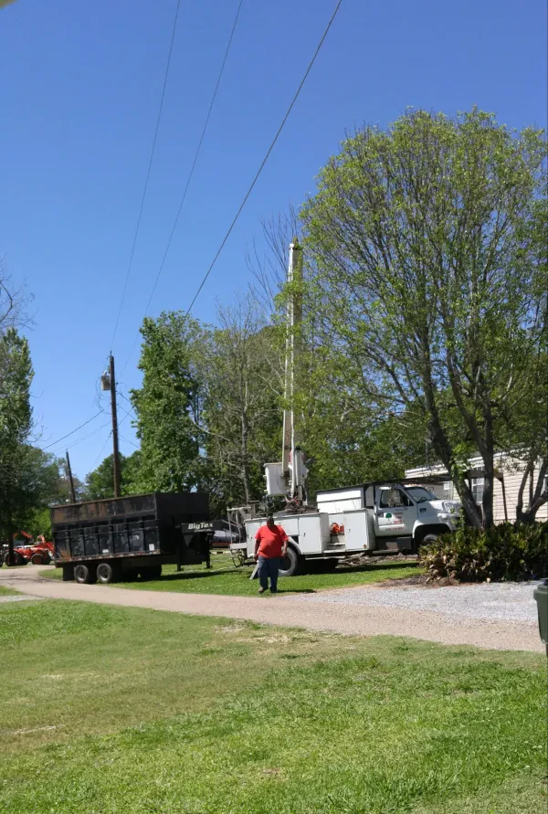 Horseshoe Auto Parts & Services - photo 4