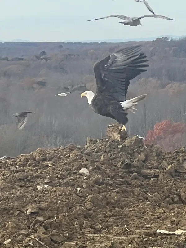 R-Board Regional Landfill - photo 3