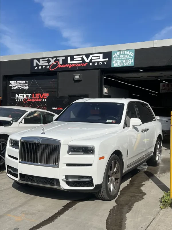 Next Level Champions - photo 2