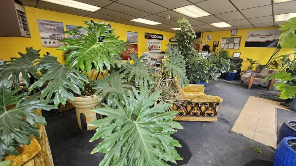 Alfred Auto Center - photo 4