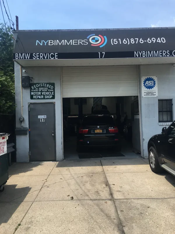 NYBIMMERS - photo 3