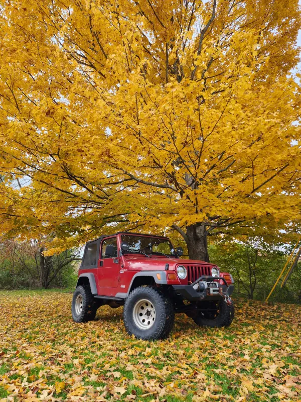 Kendal Karn Automotive - photo 4