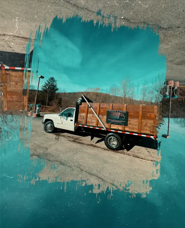 Solis and Sons Trash Pickup/Junk Removal services - photo 3