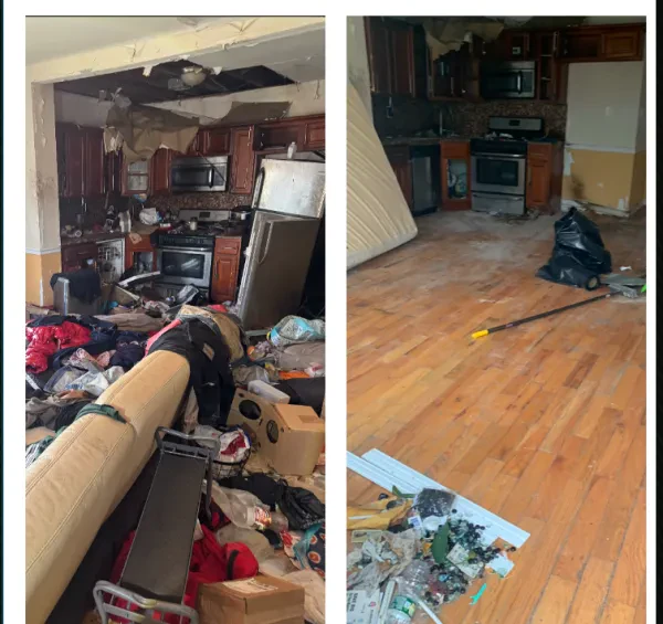 The Standard Clean Outs - photo 3