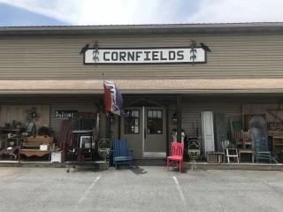 Cornfields