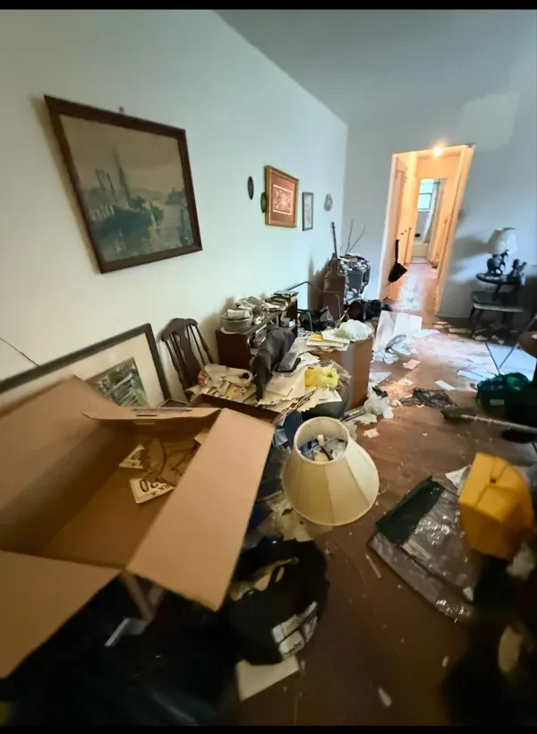 1Stop Junk Removal - photo 3