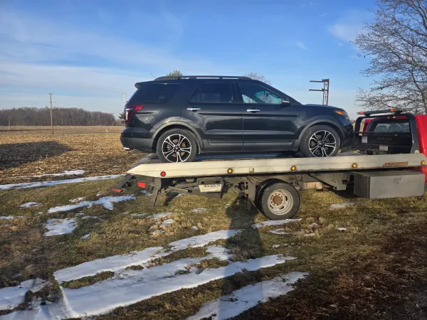 County Line Auto Wrecking - photo 3