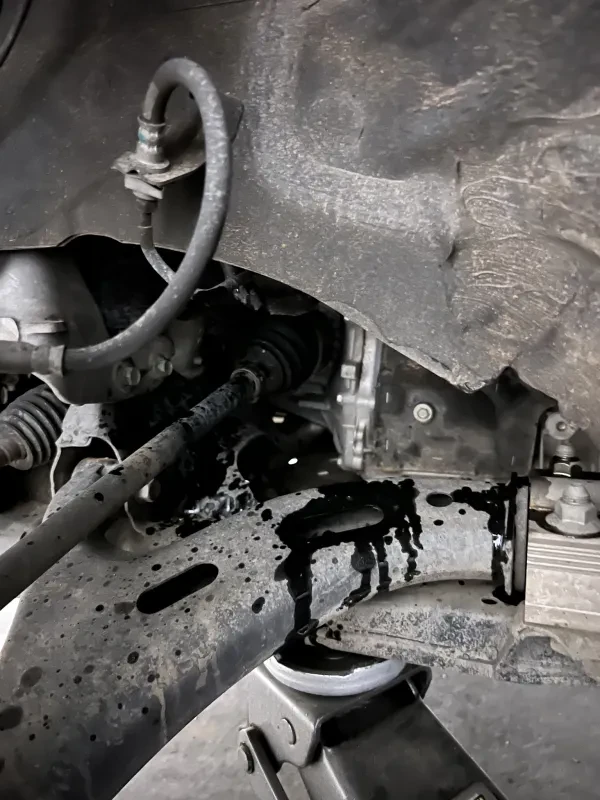 Oro Valley Automotive - photo 2