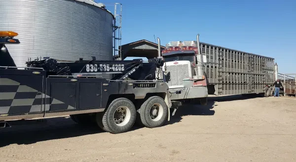 Texas Towing South - photo 3