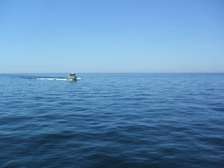TowBoatUS Bay City