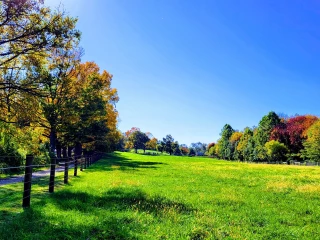 Fox Chase Farm