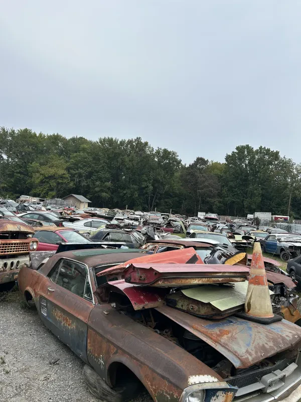 Mike's Mustang Shop - photo 2