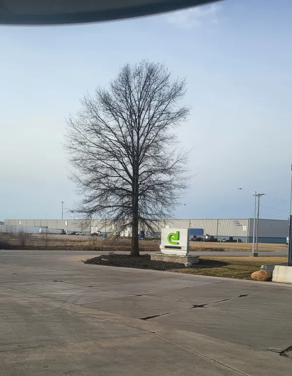 Evergreen Plastics - photo 2