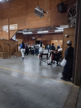 Jonesboro Auto Auction